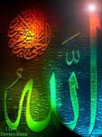 ���� �������