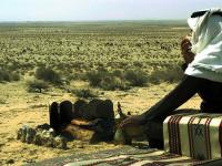 ������ ������� ��� ������ �������