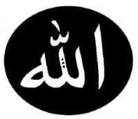 ������ ������� ����� ���