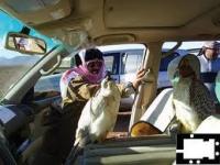 ������ ������� ���� �������