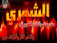 ������ ������� ���� ������