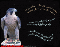 ���� �������