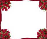 ������ ������� ���� �������