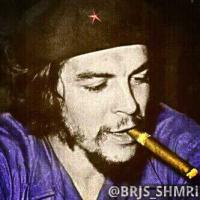 ������ ������� ���� �������