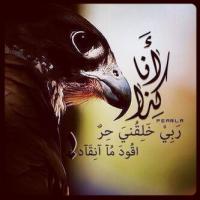 ���� ������ �������