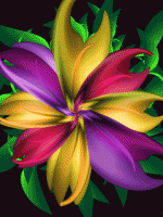 ������ ������� ��� ������