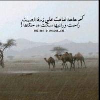 ������ ������� �������� ������